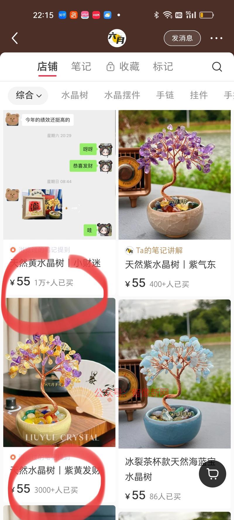 这个水晶发财树圈友分享…#情报-搞钱情报论坛-网创交流-智像新网